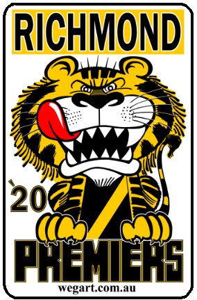 1920 Richmond Tigers WEG Fridge Magnet Includes POST IN AUST